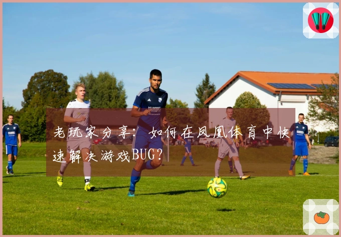 老玩家分享：如何在凤凰体育中快速解决游戏BUG？