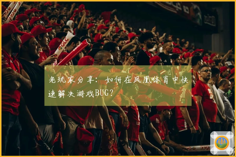 老玩家分享：如何在凤凰体育中快速解决游戏BUG？